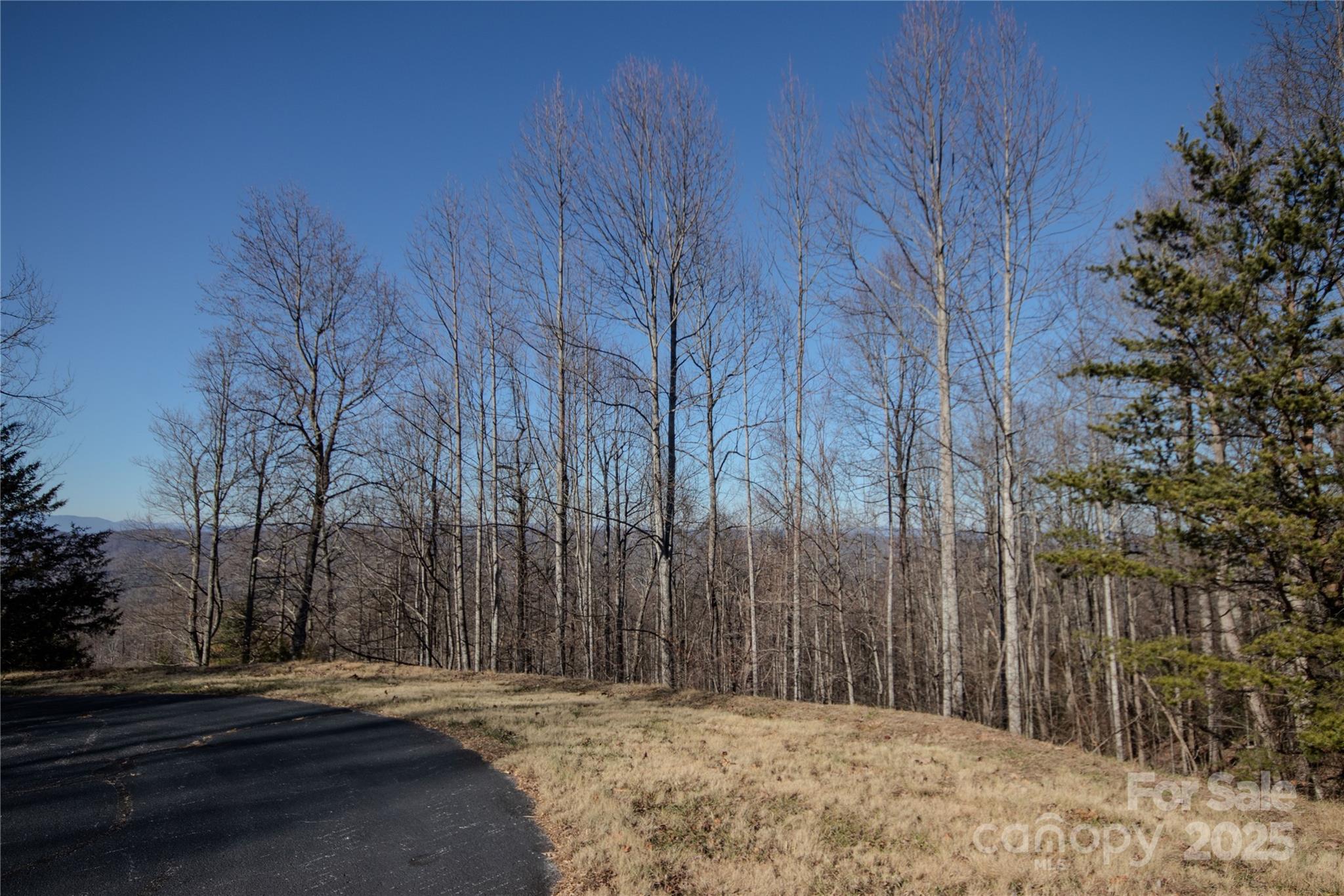 2220 Nighthawk Ridge Court, Unit 31 Lenoir, NC 28645 - Photo 16 of 16 a view of road with covered with snow