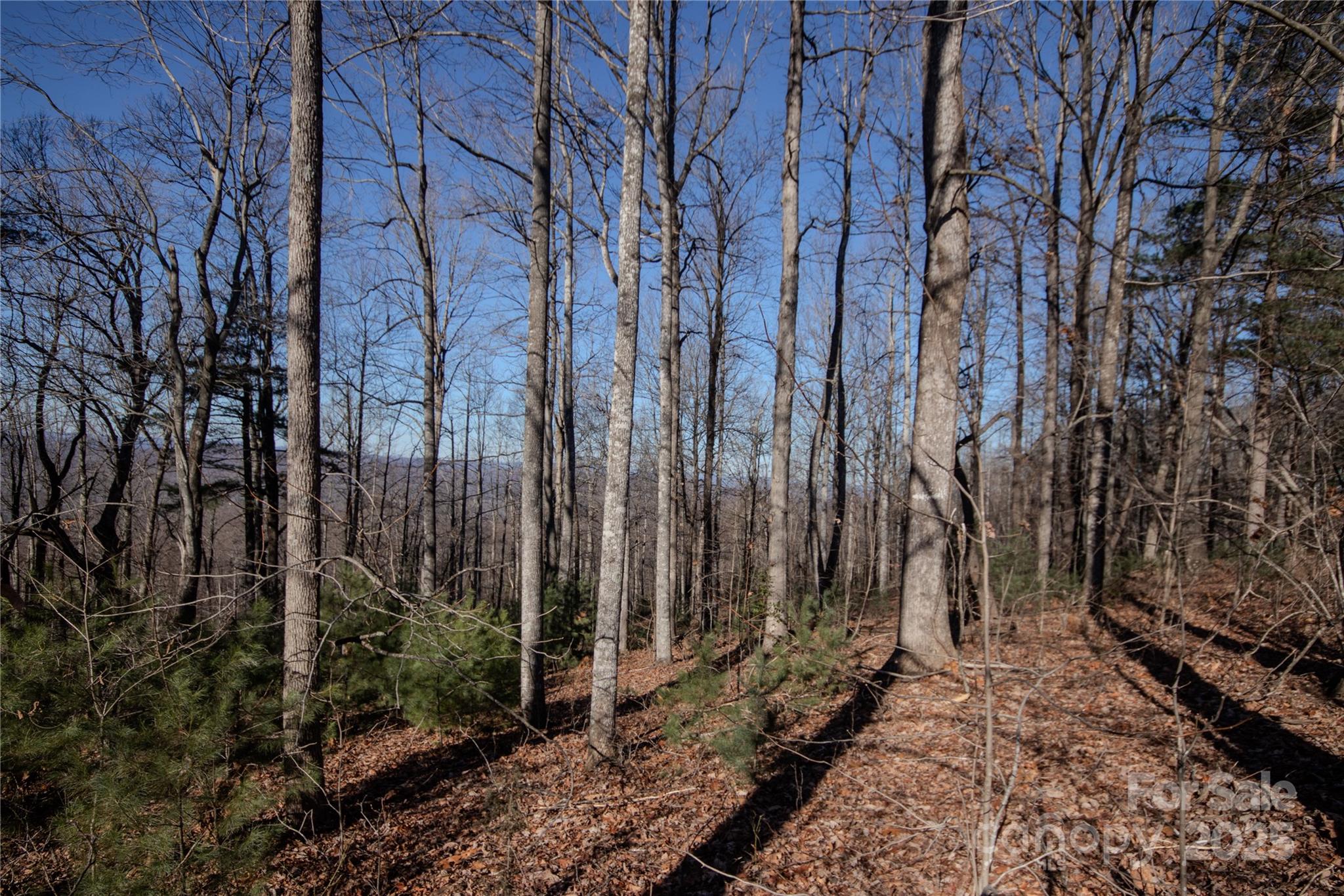 2220 Nighthawk Ridge Court, Unit 31 Lenoir, NC 28645 - Photo 4 of 16 a view of a backyard of the house