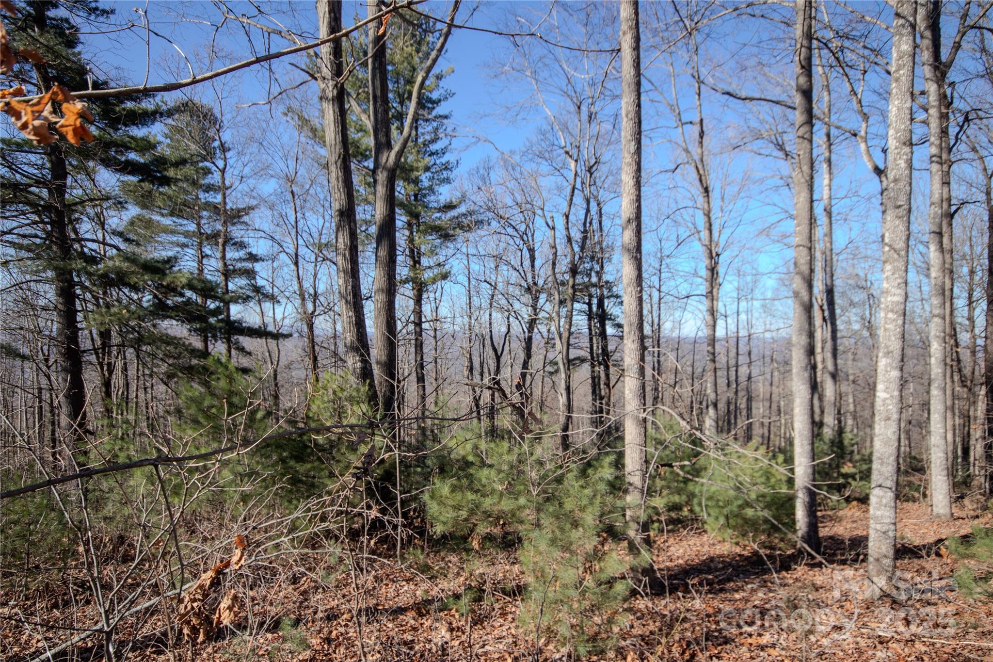 2220 Nighthawk Ridge Court, Unit 31 Lenoir, NC 28645 - Photo 5 of 16 a backyard of a house with lots of green space