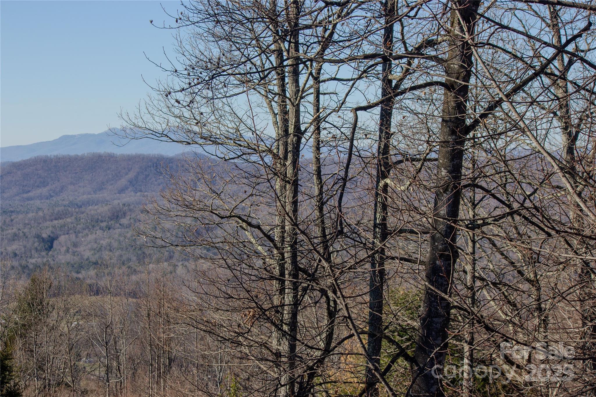 2220 Nighthawk Ridge Court, Unit 31 Lenoir, NC 28645 - Photo 6 of 16 a backyard of a house with lots of trees