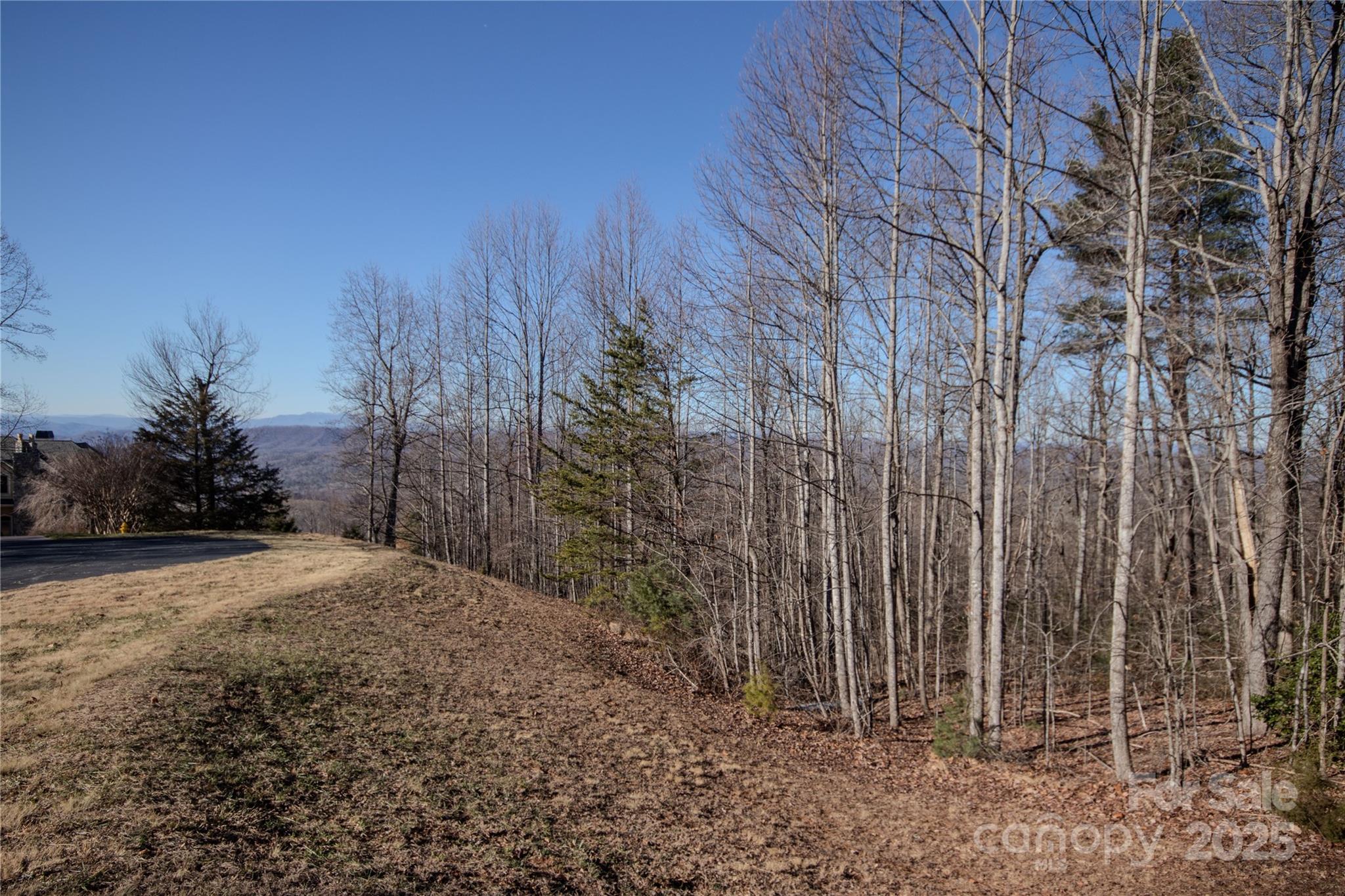 2220 Nighthawk Ridge Court, Unit 31 Lenoir, NC 28645 - Photo 7 of 16 a view of a backyard of the house