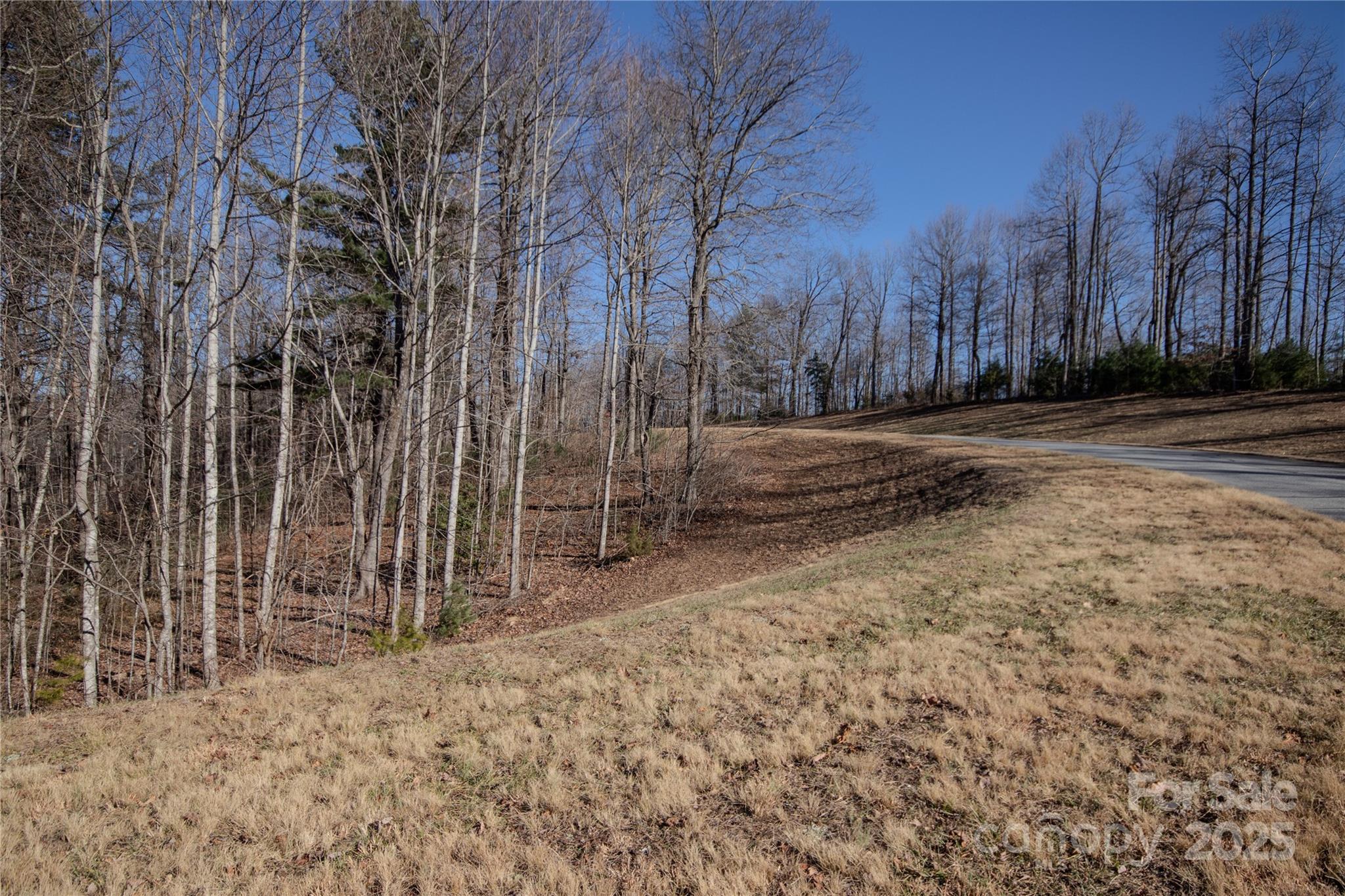 2220 Nighthawk Ridge Court, Unit 31 Lenoir, NC 28645 - Photo 8 of 16 a view of a yard with trees