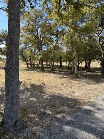 a view of a yard with a tree