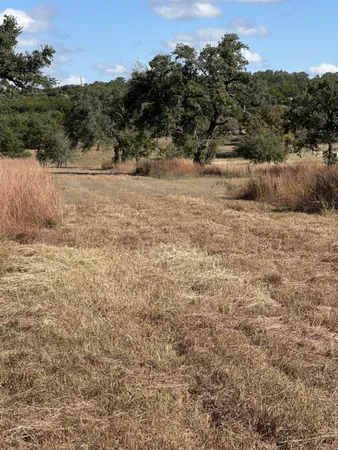 a view of open area with green space