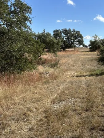 a view of a dry yard with trees