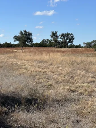a view of a lake from a yard