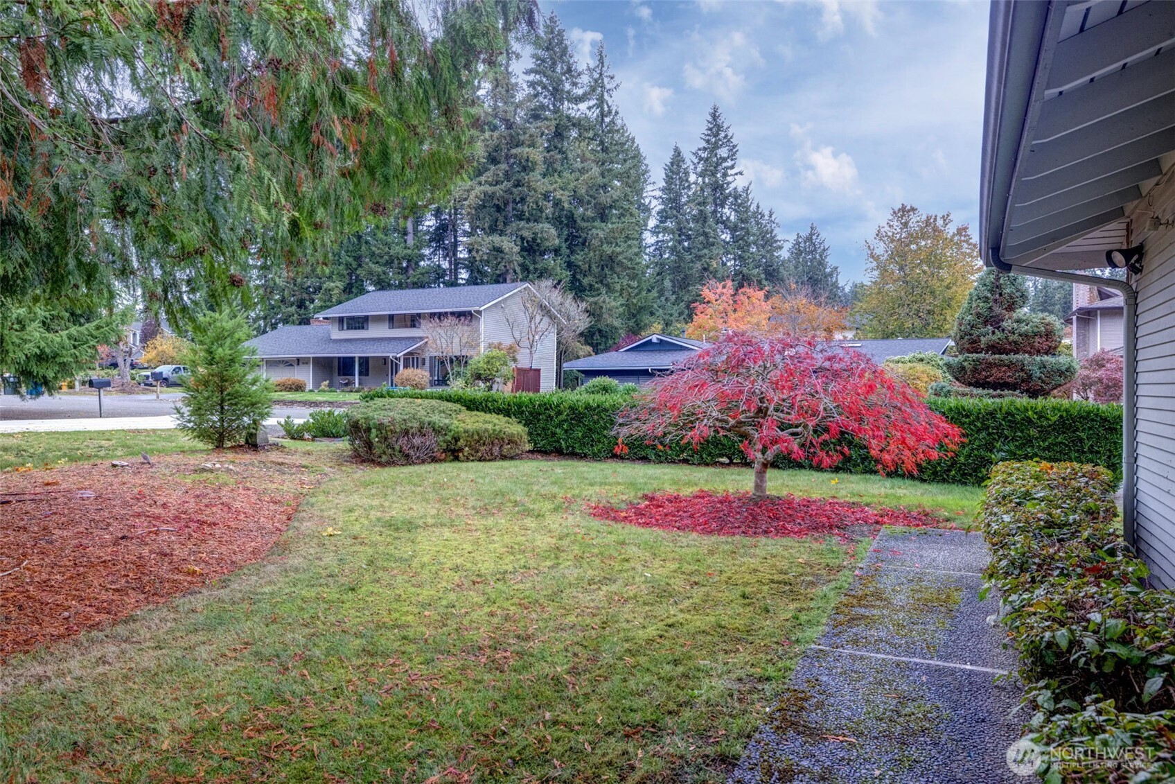 16123 Southeast 146th Place Renton, WA 98059 - Photo 4 of 40 a view of a backyard with garden