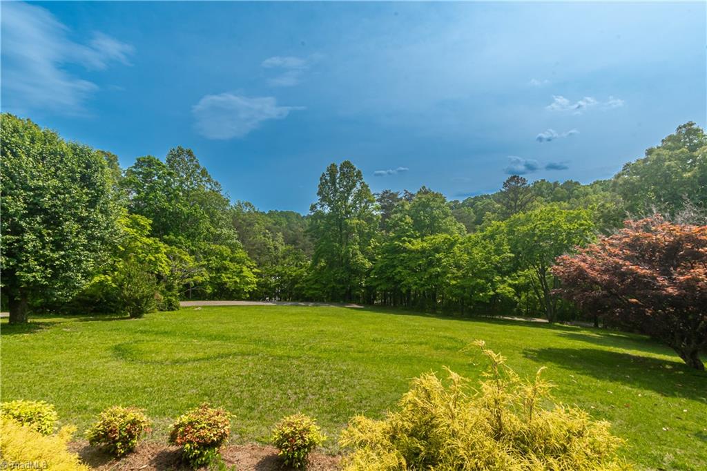 289 Reeves Mill Road Mount Airy, NC 27030 - Photo 8 of 50 View of front yard from porch.