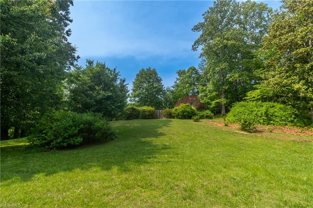 289 Reeves Mill Road Mount Airy, NC 27030 - Photo 10 of 50 Backyard