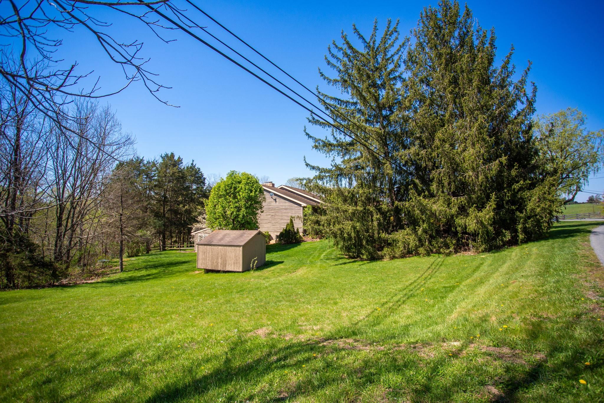 13004 Indian Trail Road Broadway, VA 22815 - Photo 56 of 56 a view of a garden with a tree