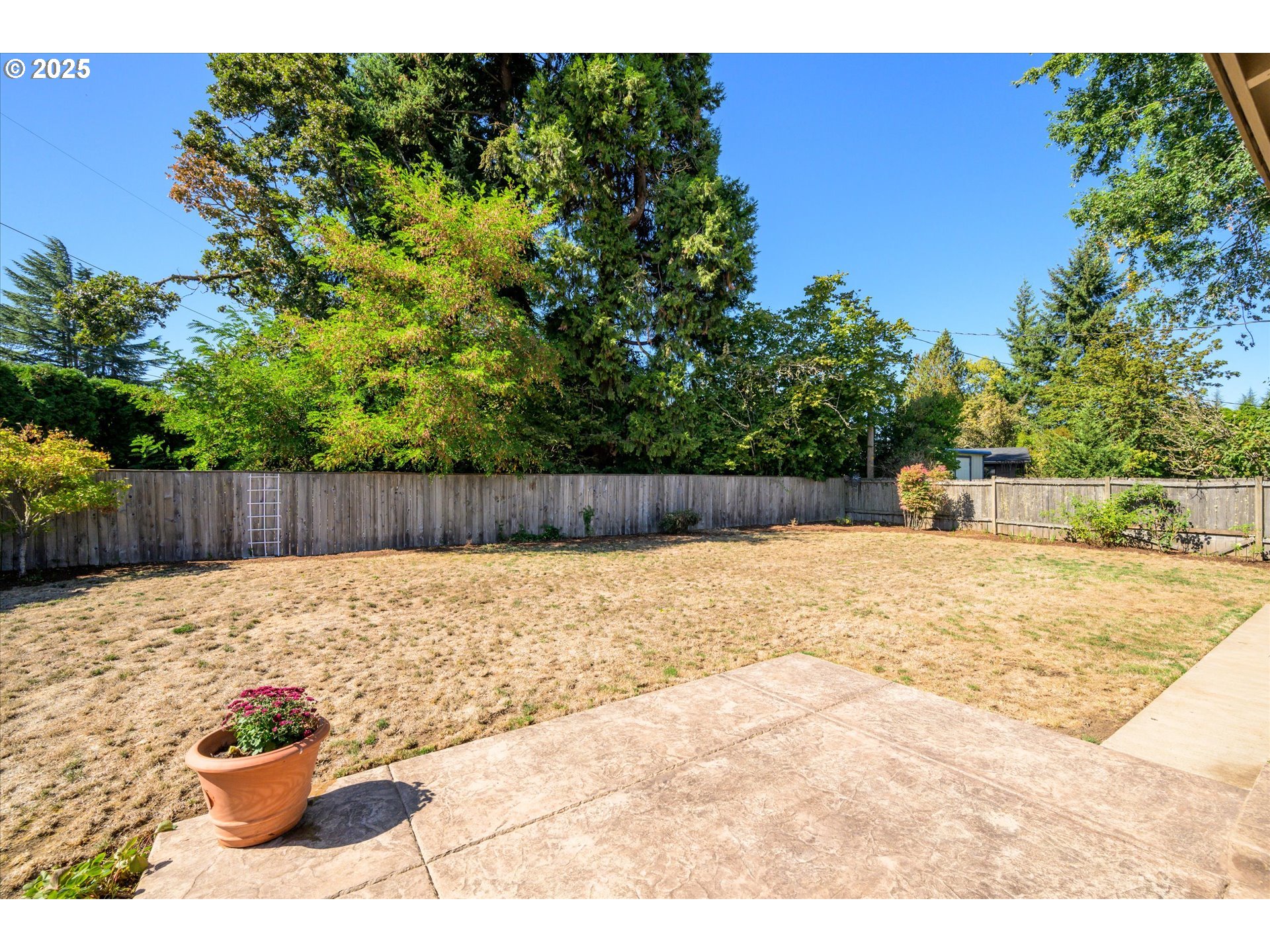 1632 Larkspur Loop Eugene, OR 97401 - Photo 33 of 42 Backyard