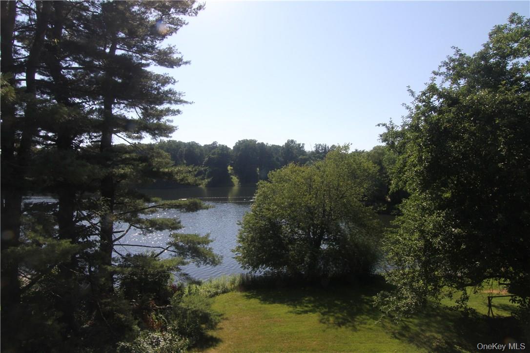 169 Shear Hill Road Mahopac, NY 10541 - Photo 25 of 31