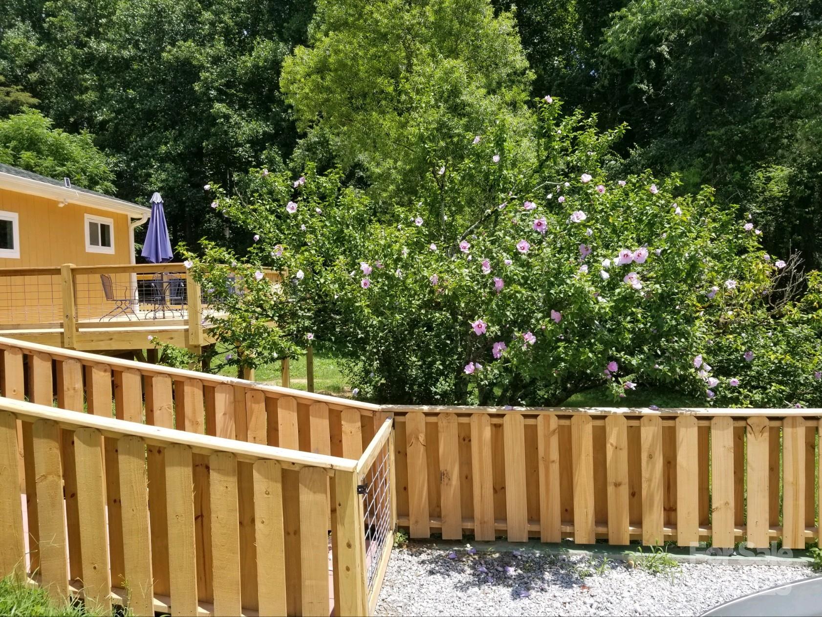 660 Pace Road Hendersonville, NC 28792 - Photo 22 of 31 a view of a small yard in front of a house with a large tree