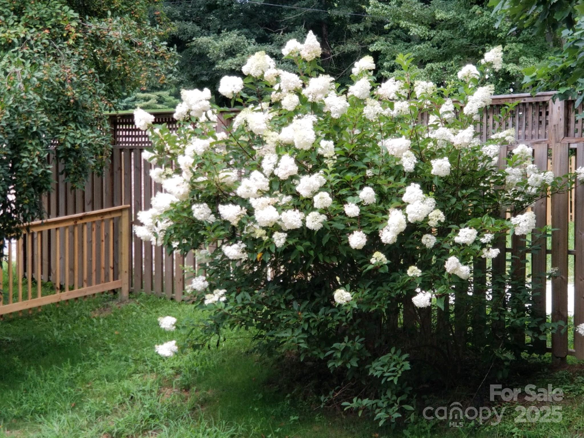 660 Pace Road Hendersonville, NC 28792 - Photo 23 of 31 a view of flowers in yard