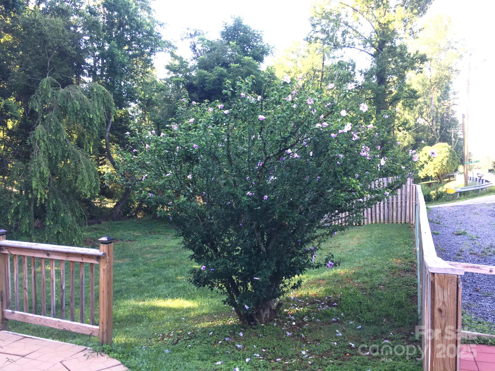 660 Pace Road Hendersonville, NC 28792 - Photo 26 of 31 a backyard of a house with lots of green space and plants