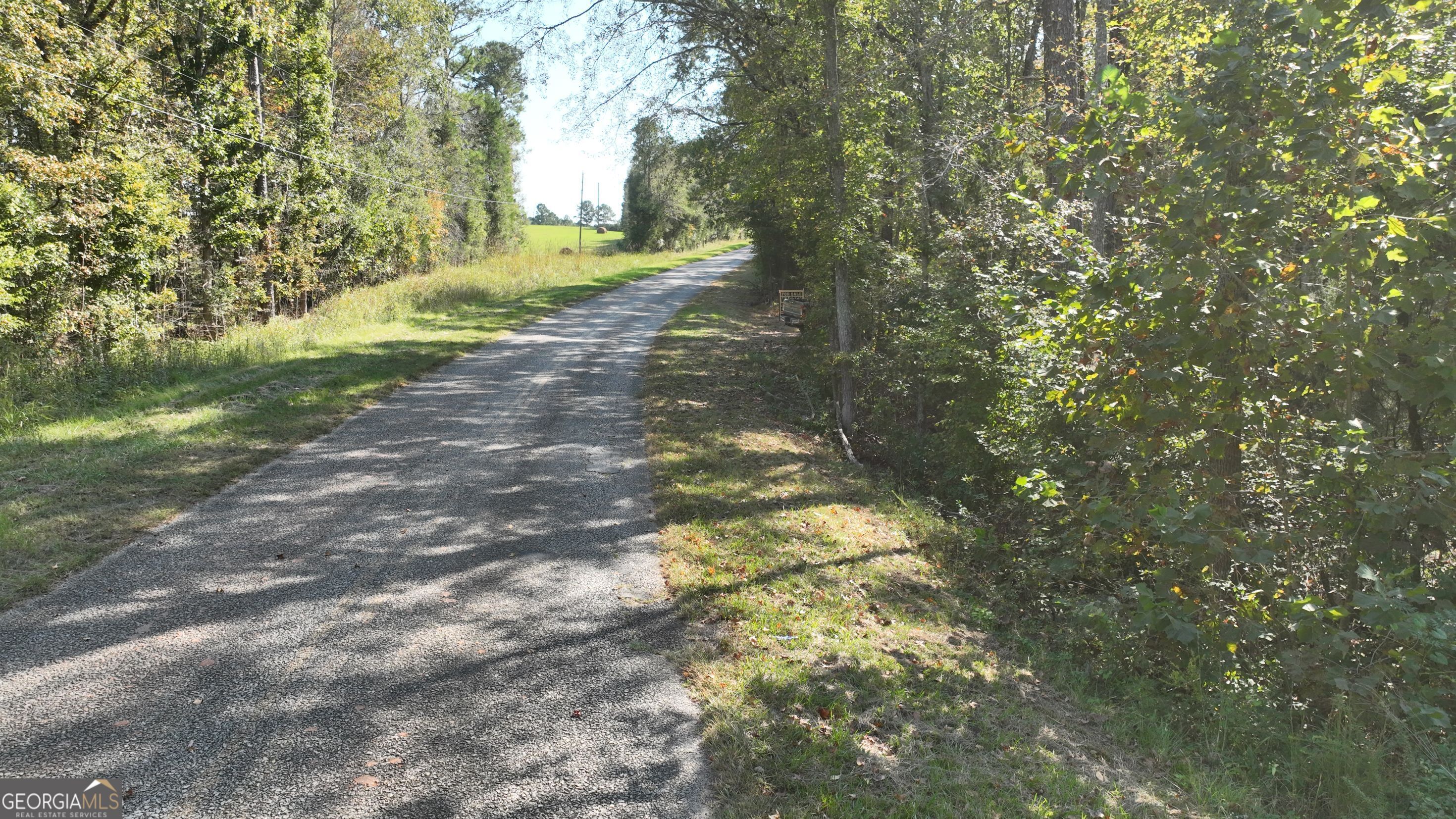 3563 Ernest Brown Road Elberton, GA 30635 - Photo 2 of 8 a view of a yard with a tree