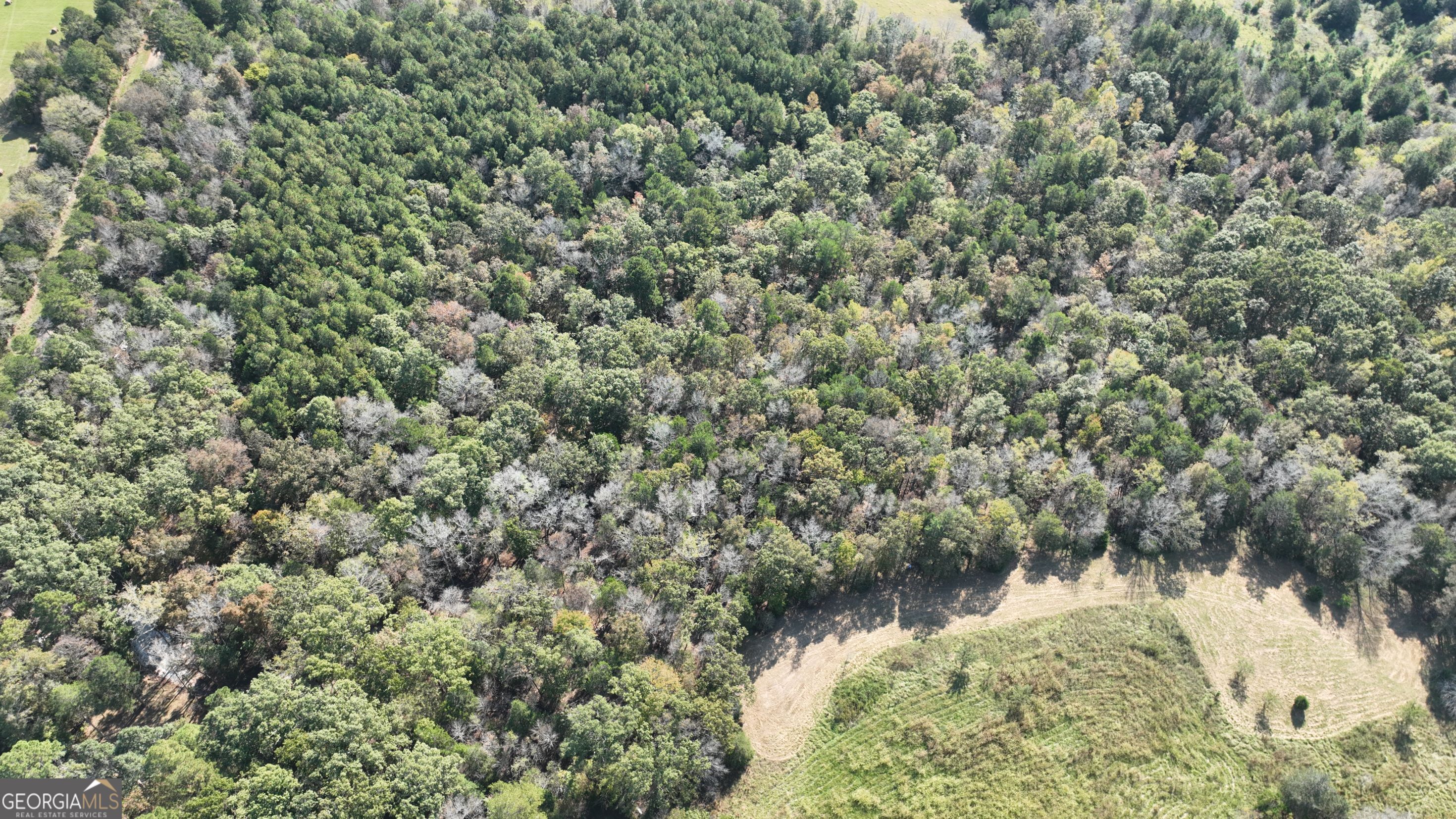 3563 Ernest Brown Road Elberton, GA 30635 - Photo 4 of 8 a view of a lake from a forest