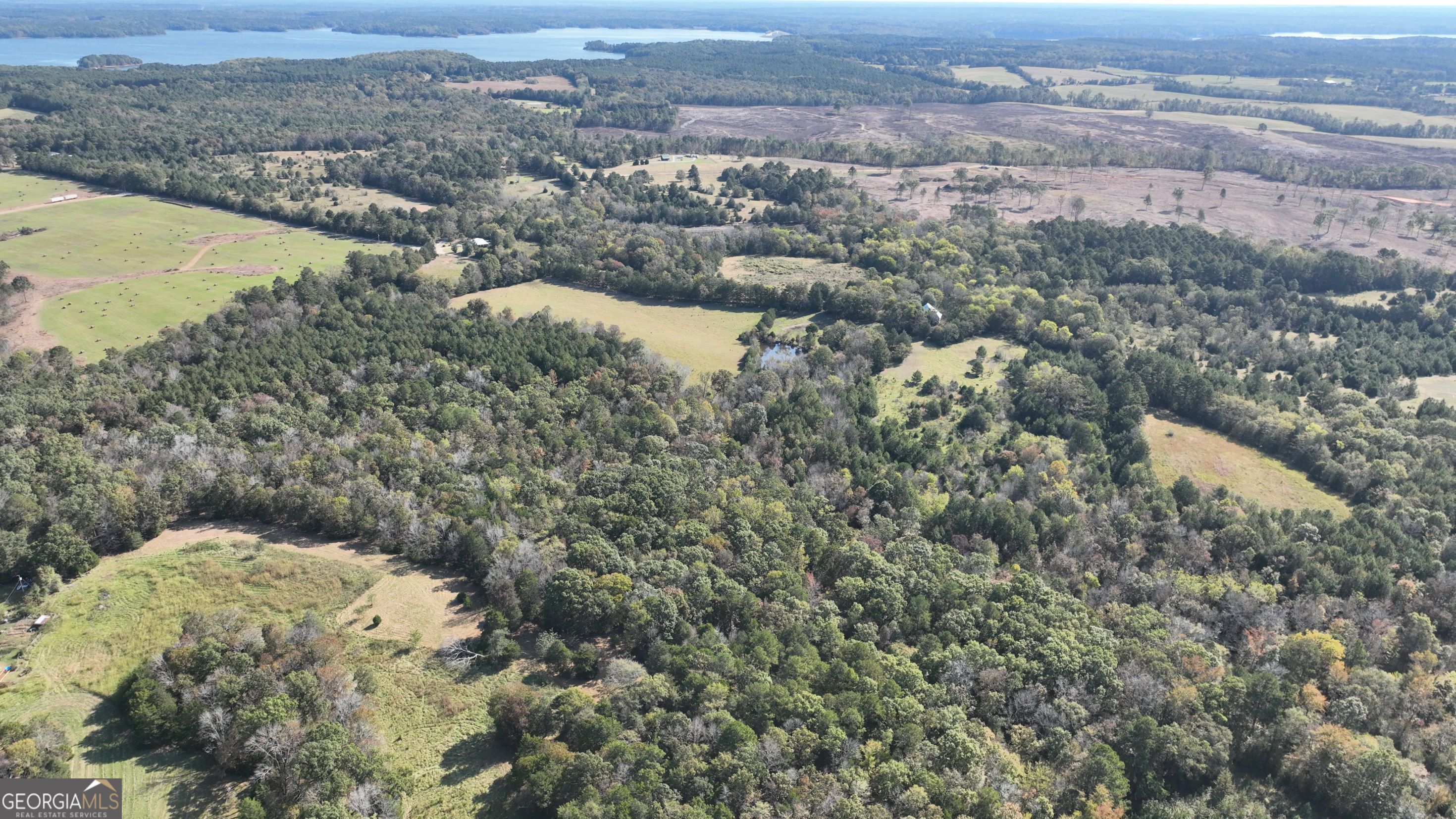 3563 Ernest Brown Road Elberton, GA 30635 - Photo 6 of 8 a view of a lake with a city