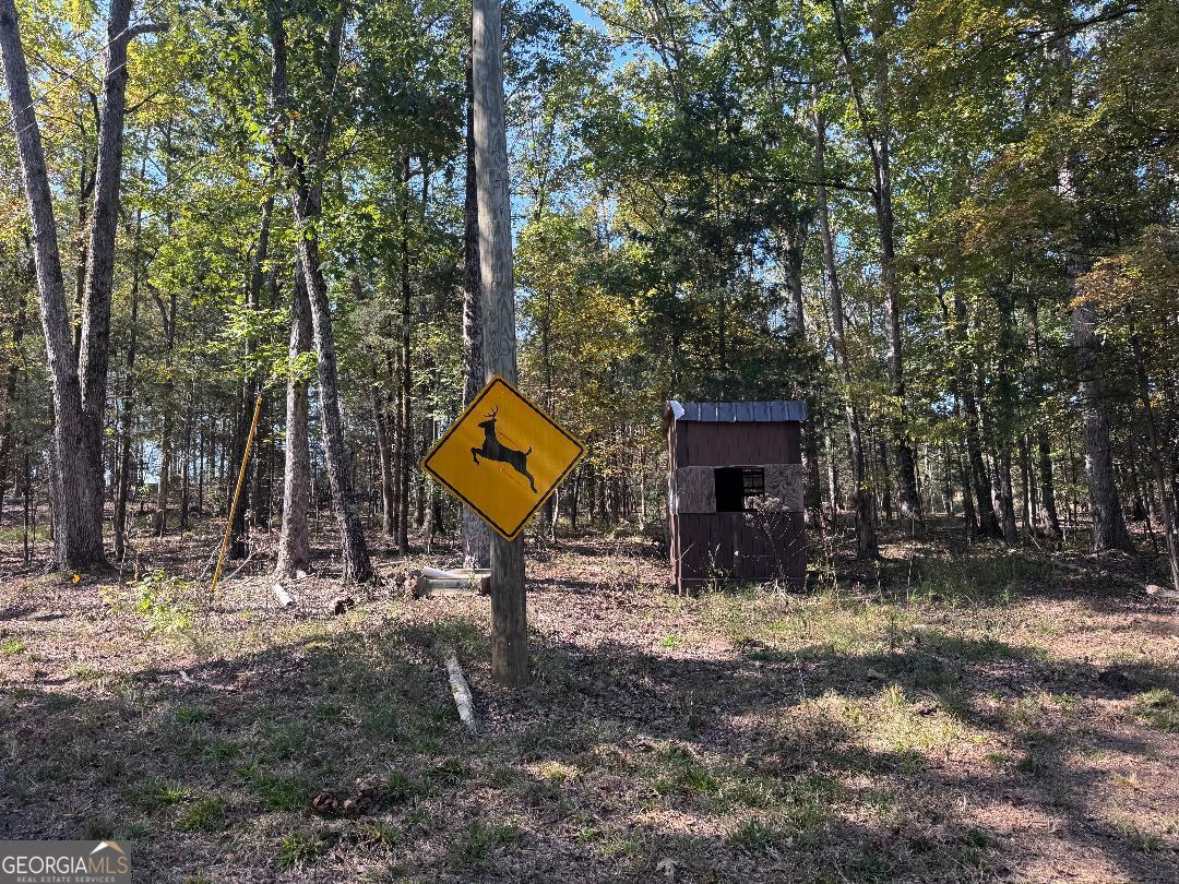 3563 Ernest Brown Road Elberton, GA 30635 - Photo 7 of 8 a view of a fire pit with large trees