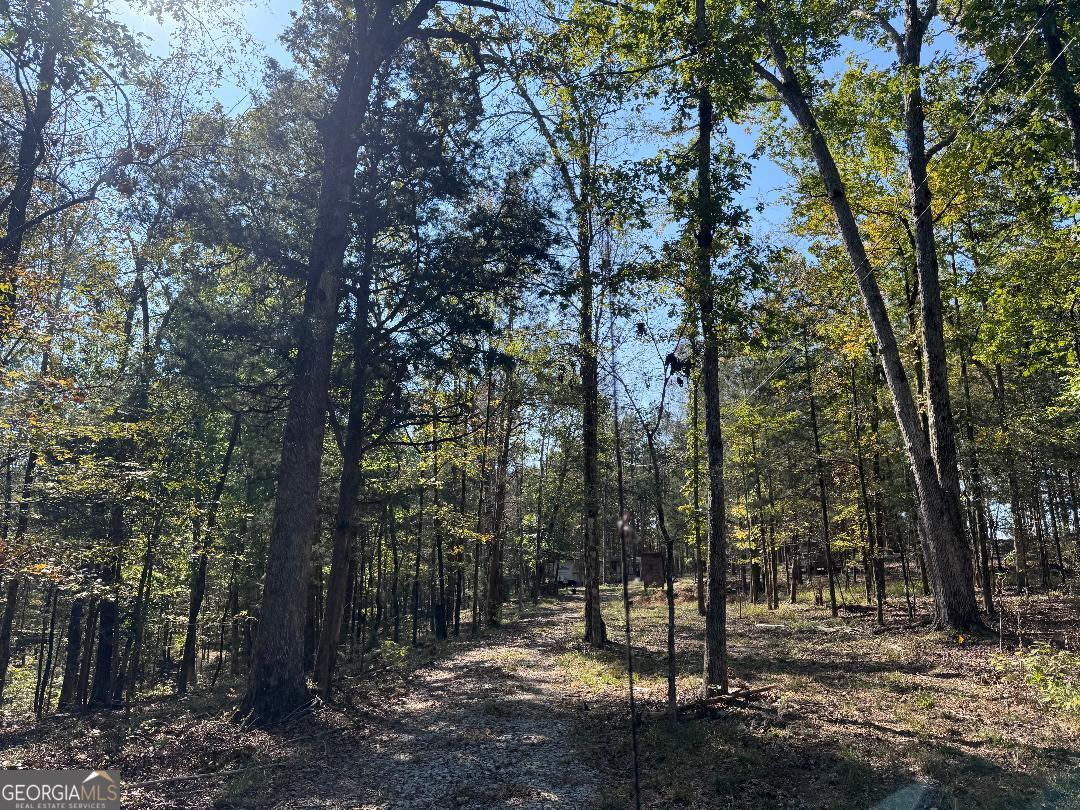 3563 Ernest Brown Road Elberton, GA 30635 - Photo 8 of 8 a view of outdoor space with trees