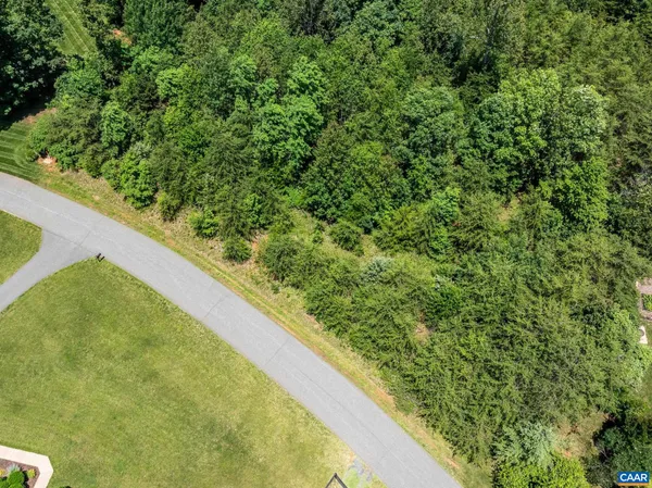 a view of a forest from a balcony