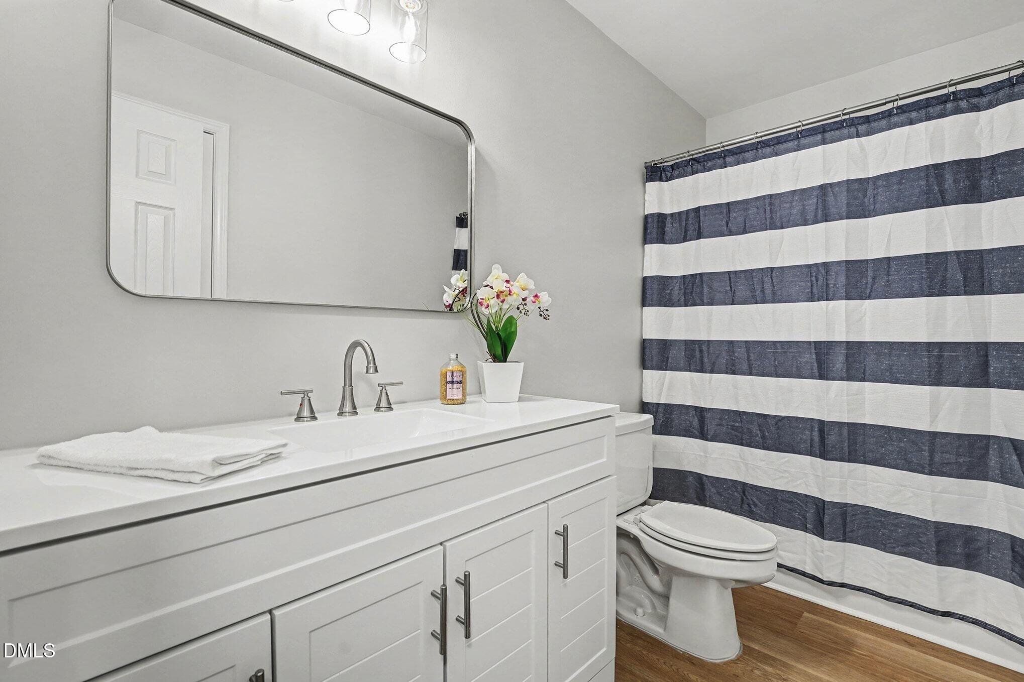 1005 Winsome Court Raleigh, NC 27603 - Photo 15 of 20 a bathroom with a sink a toilet and a mirror