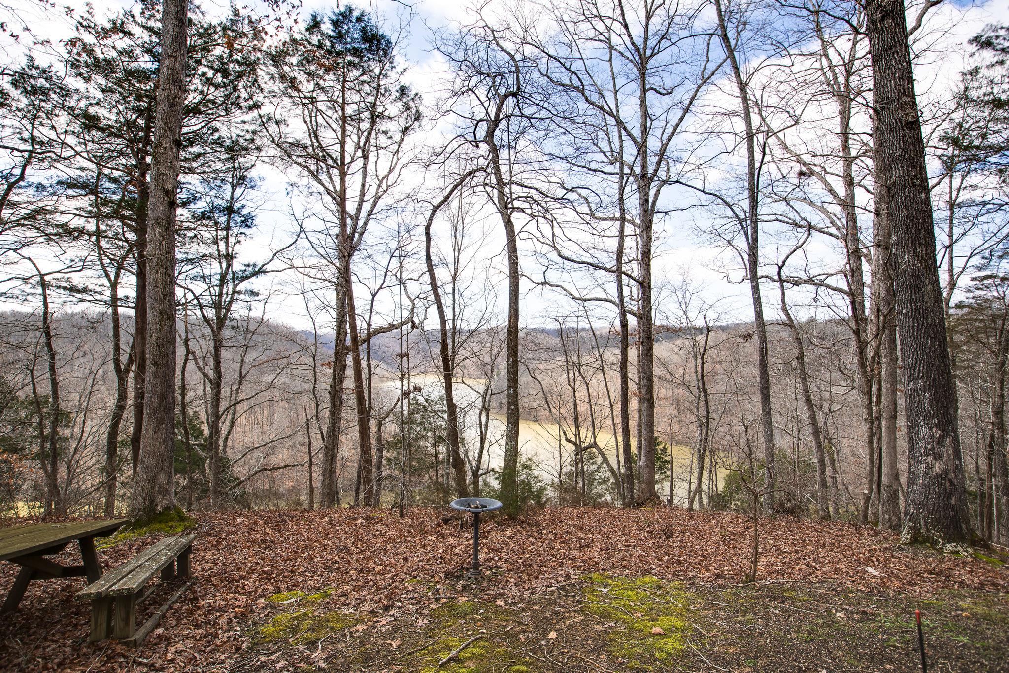 5150 Jefferson Road Smithville, TN 37166 - Photo 23 of 29 You can see an abundance of song birds and wildlife throughout the woods!