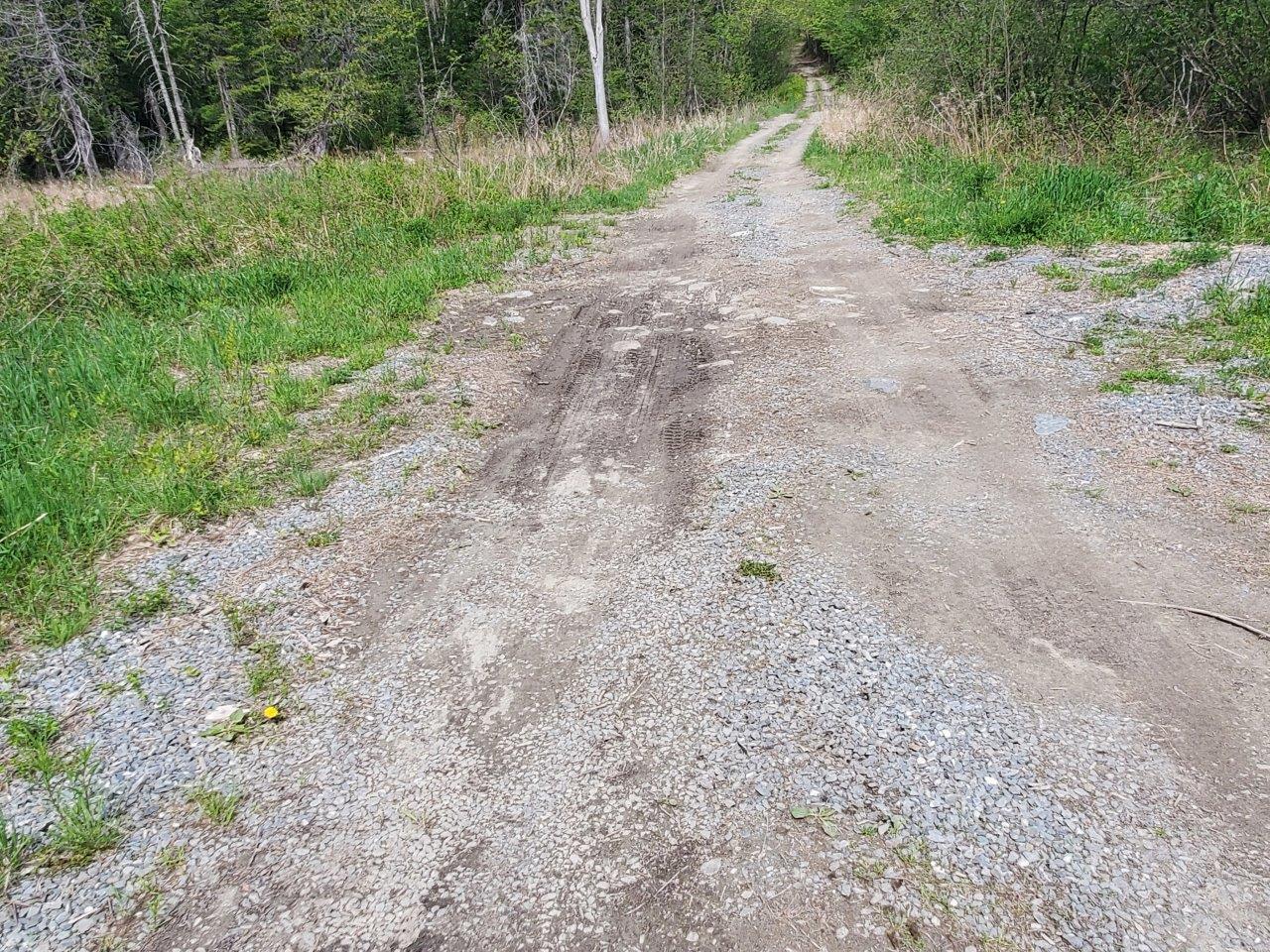 Lot 6 Pleasant Pond Road Milo, ME 04463 - Photo 34 of 38 20260523_143407 adj