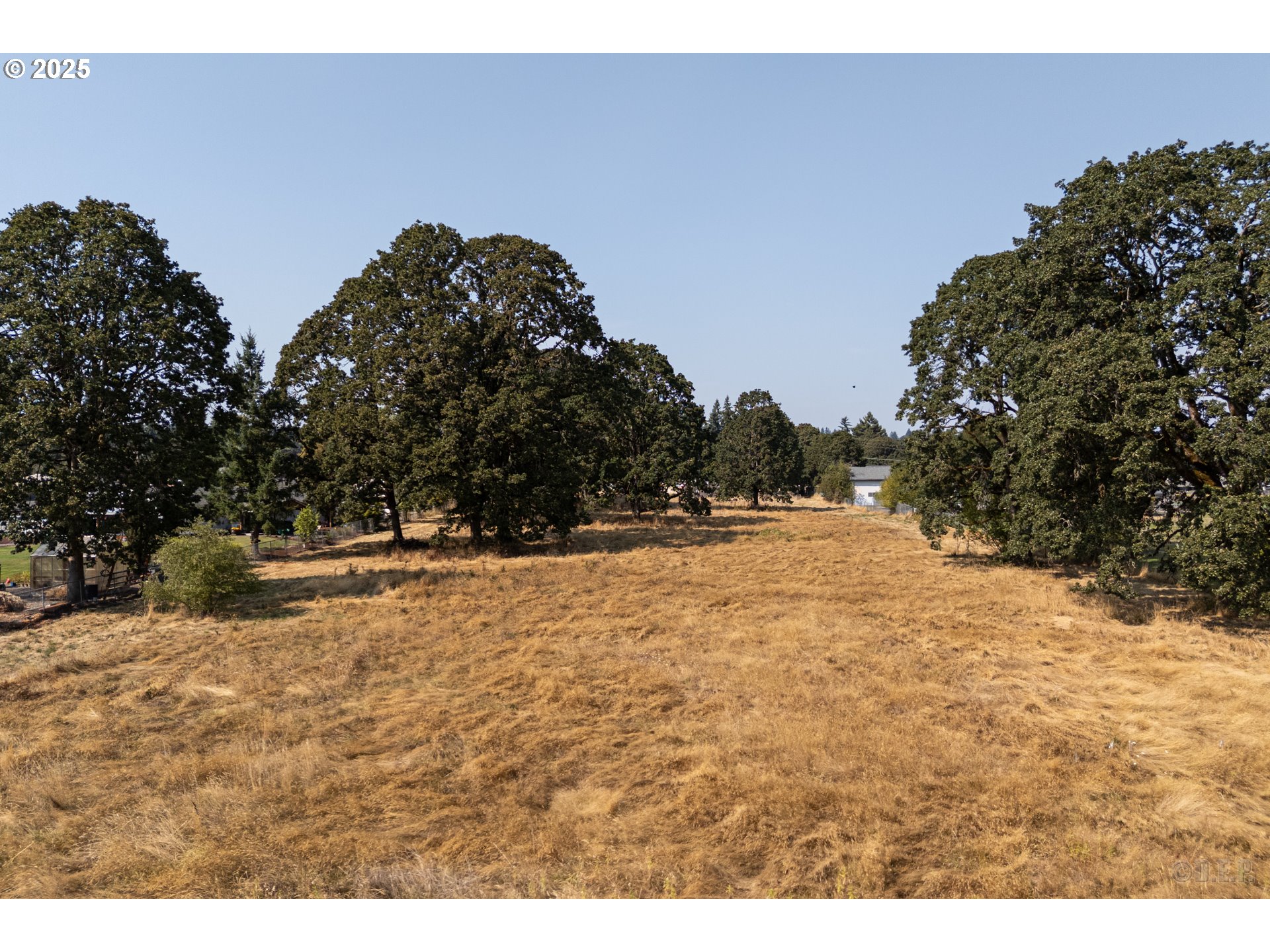 2675 Gable Road St. Helens, OR 97051 - Photo 4 of 10 a view of large yard with a tree