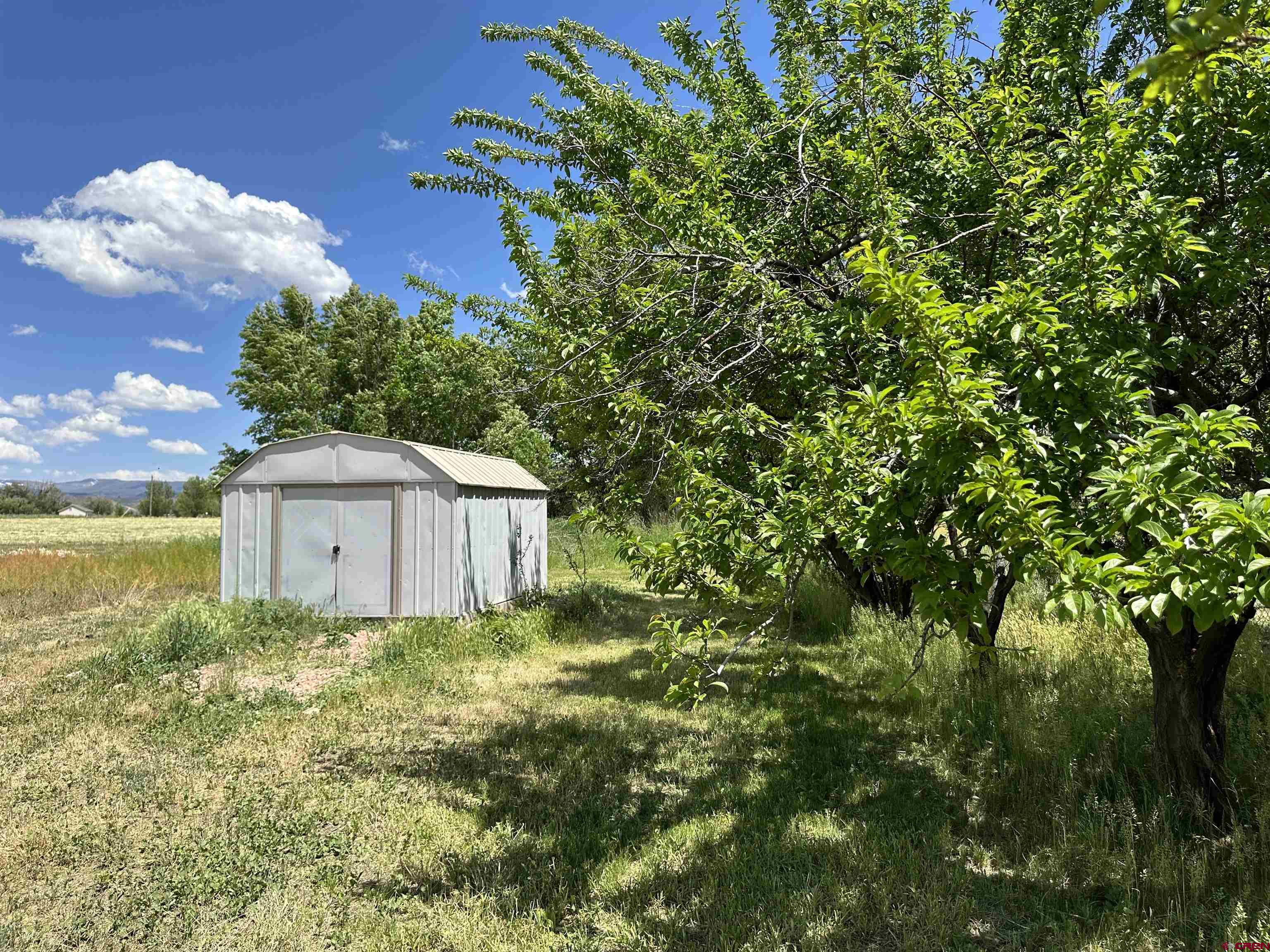 12050 2165th Road Austin, CO 81410 - Photo 27 of 35 Gallery Image 27