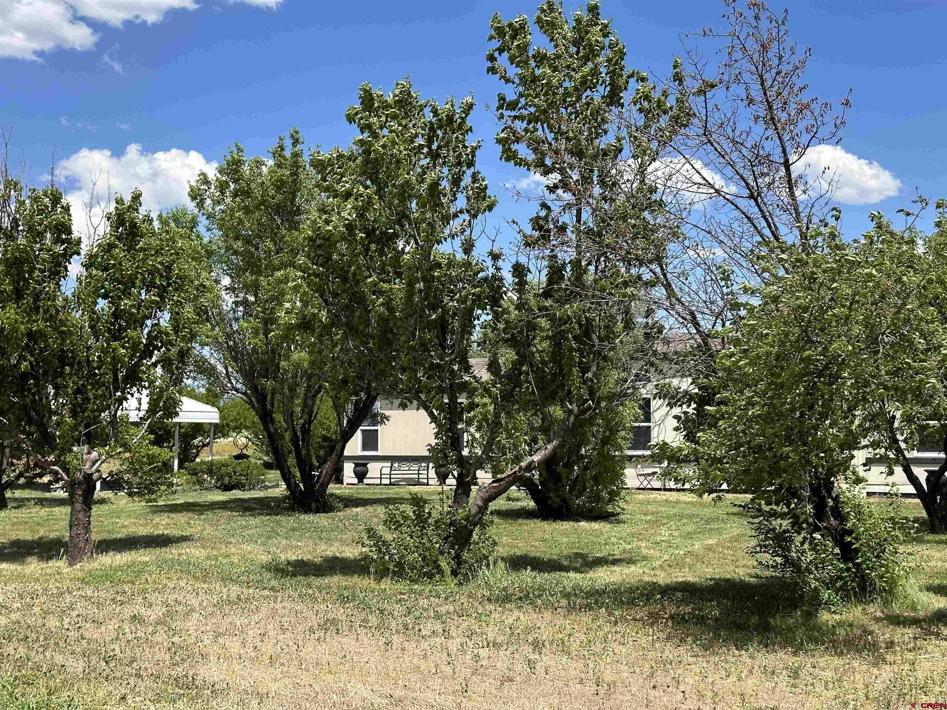 12050 2165th Road Austin, CO 81410 - Photo 29 of 35 Gallery Image 29
