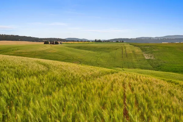 $319,000 | Nka North Bruce Road, Unit LOT 3, Mead, WA 99021