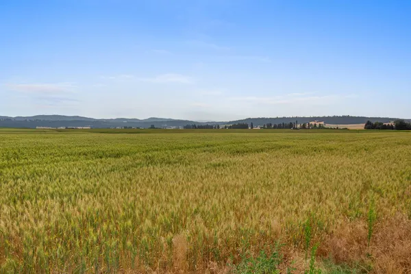 $319,000 | Nka North Bruce Road, Unit LOT 3, Mead, WA 99021