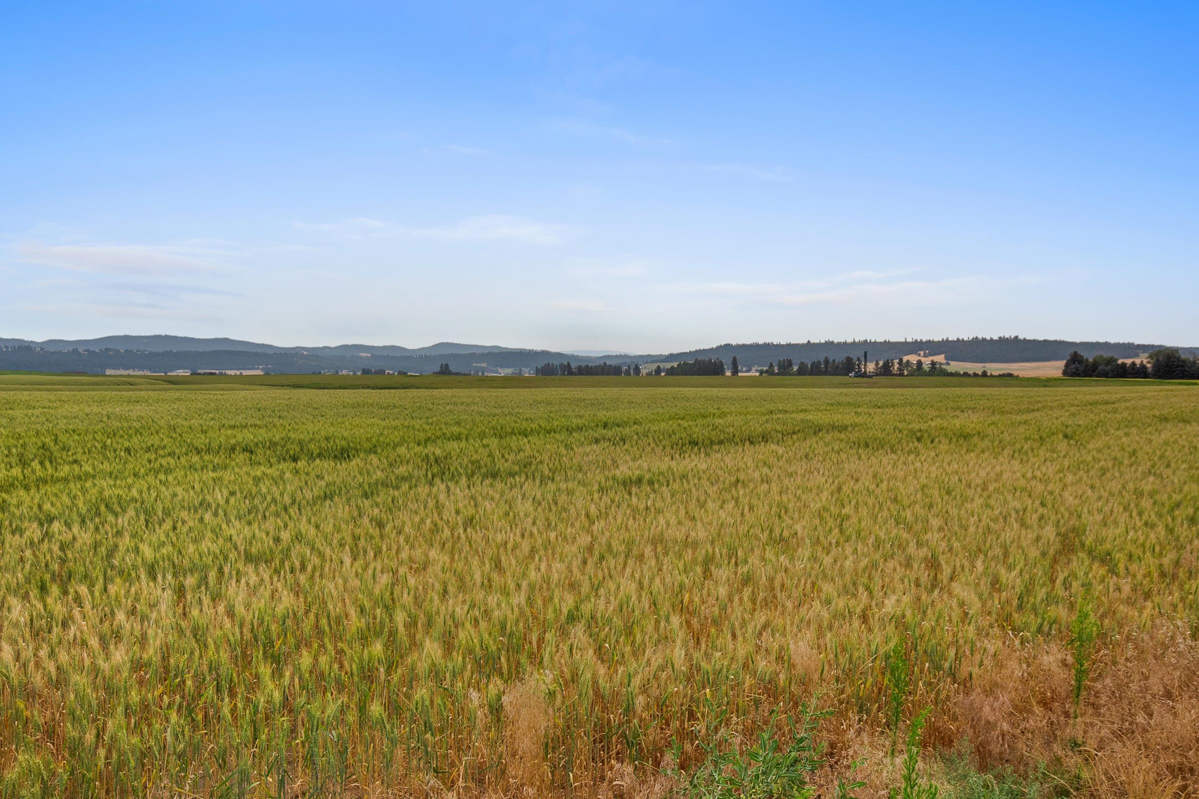 Nka North Bruce Road, Unit LOT 3 Mead, WA 99021 - Photo 11 of 11