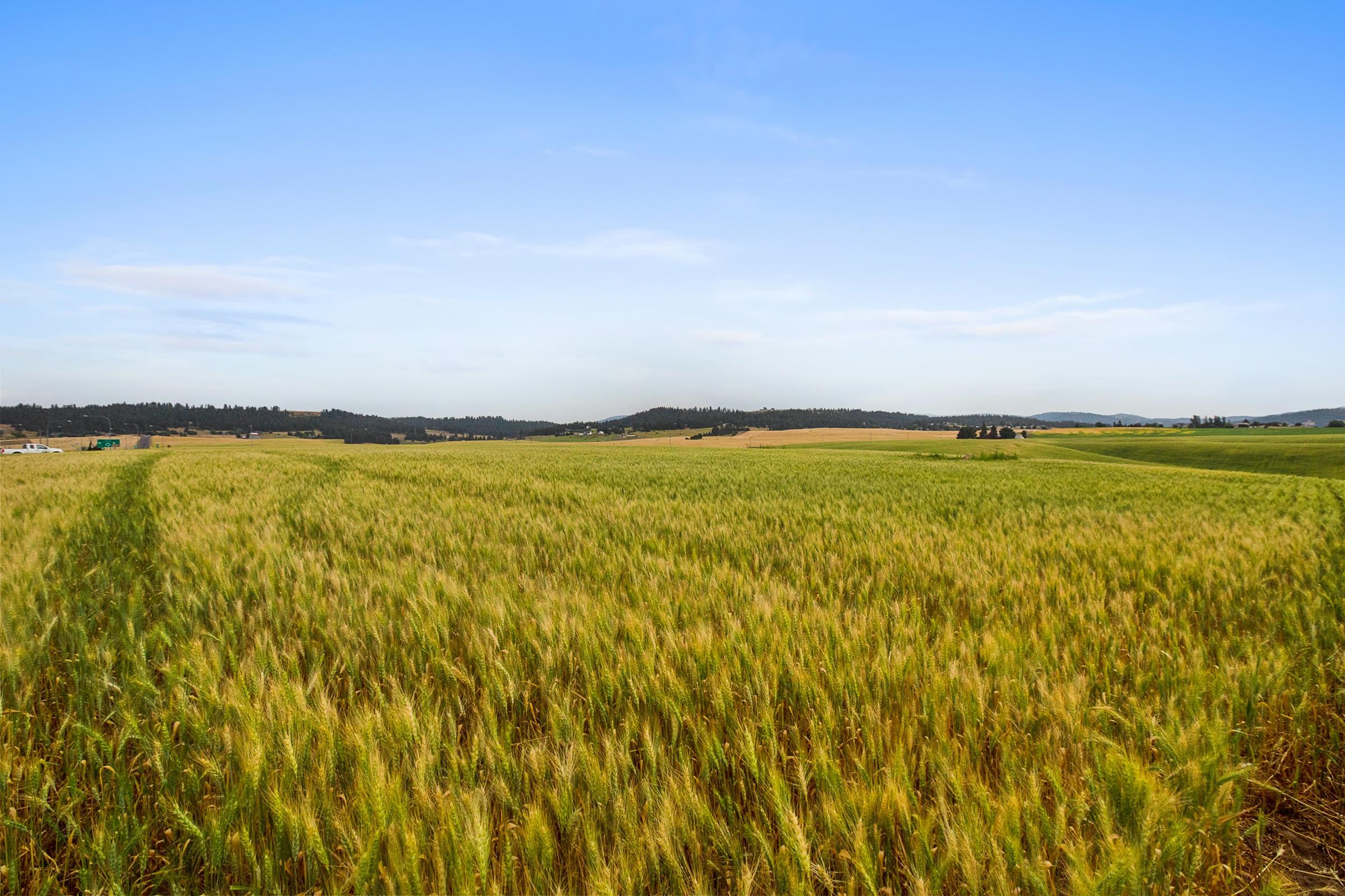 Nka North Bruce Road, Unit LOT 3 Mead, WA 99021 - Photo 3 of 11