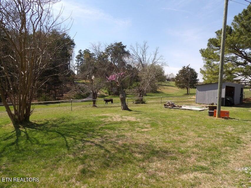 216 Slaton Farm Road Dandridge, TN 37725 - Photo 11 of 60 11