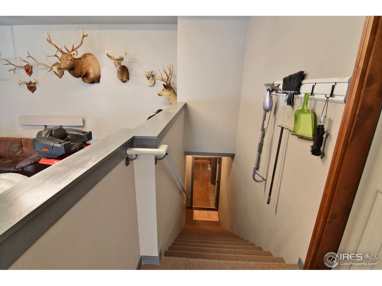 1440 Red Tail Road Eaton, CO 80615 - Photo 38 of 40 Separate Entrance From Garage to Basement