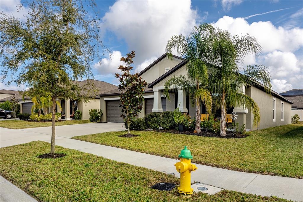 16654 Carlton Pond Street Wimauma, FL 33598 - Photo 39 of 48 a front view of a house with garden