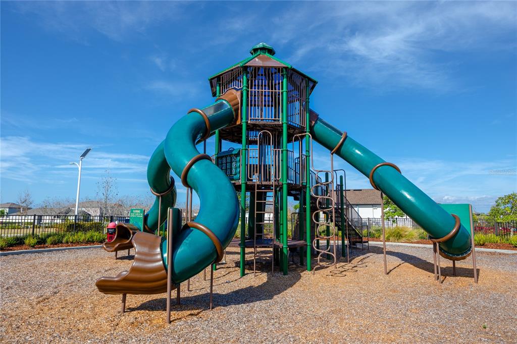 16654 Carlton Pond Street Wimauma, FL 33598 - Photo 47 of 48 a childrens park with lots of swings and slides