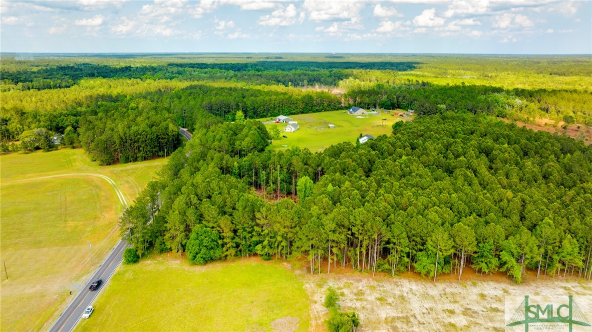 0 Courthouse Road Guyton, GA 31312 - Photo 2 of 4