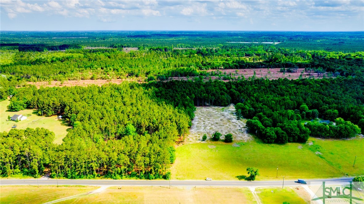 0 Courthouse Road Guyton, GA 31312 - Photo 3 of 4