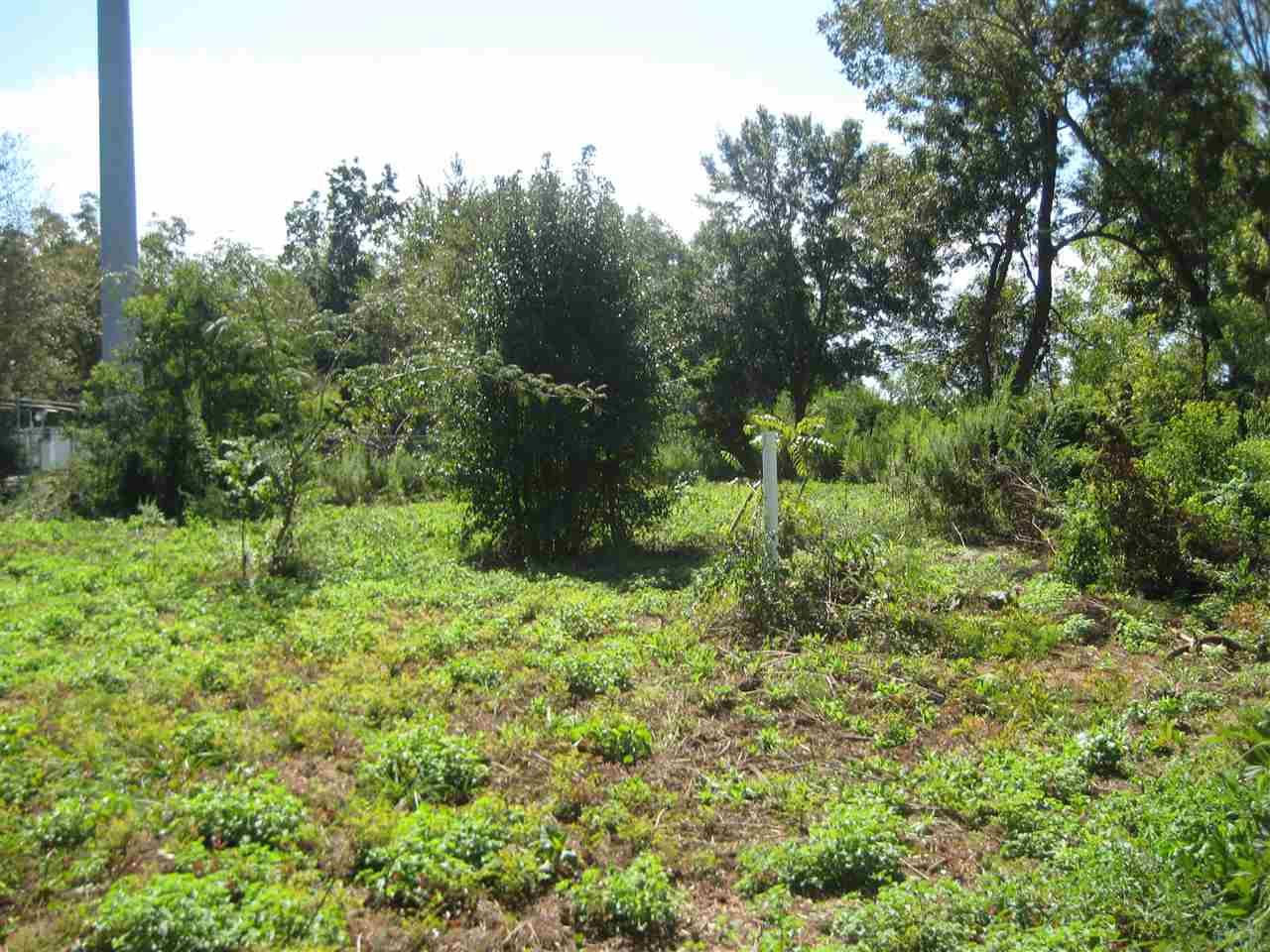 5001 Guernsey Road Pace, FL 32571 - Photo 6 of 19 Gallery Image 6