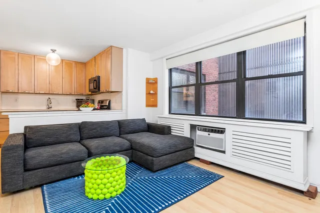 a living room with furniture and a gate