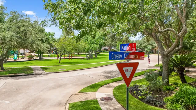 a view of a big yard with large trees