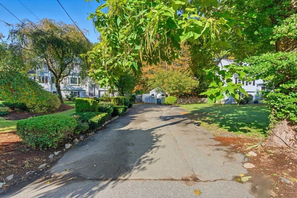 8 McDonald Road Wilmington, MA 01887 - Photo 38 of 40 a view of a street with a tree