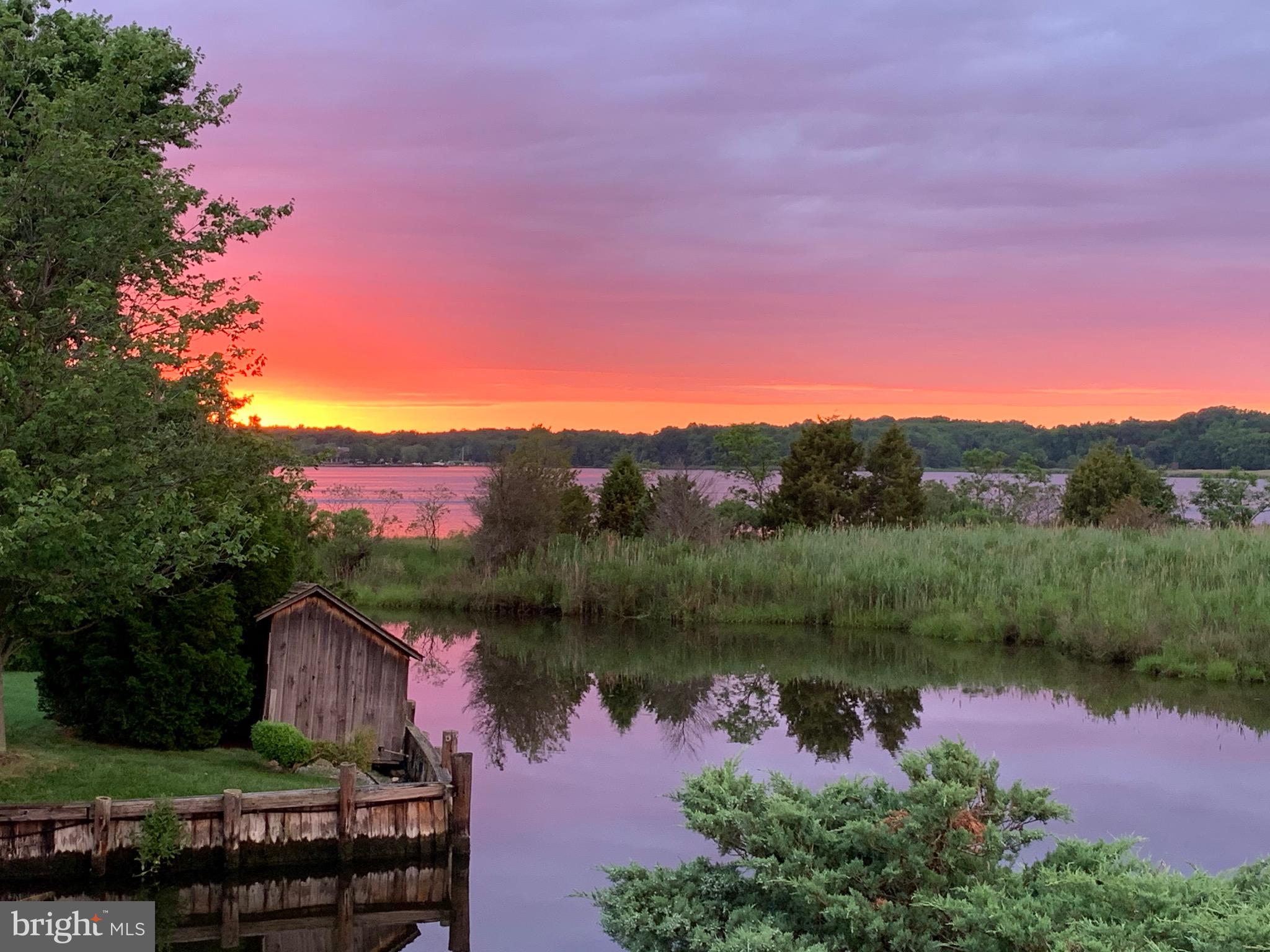 1100 Paca Drive Edgewater, MD 21037 - Photo 5 of 60 Truly a nature lovers DREAM with abundant wildlife