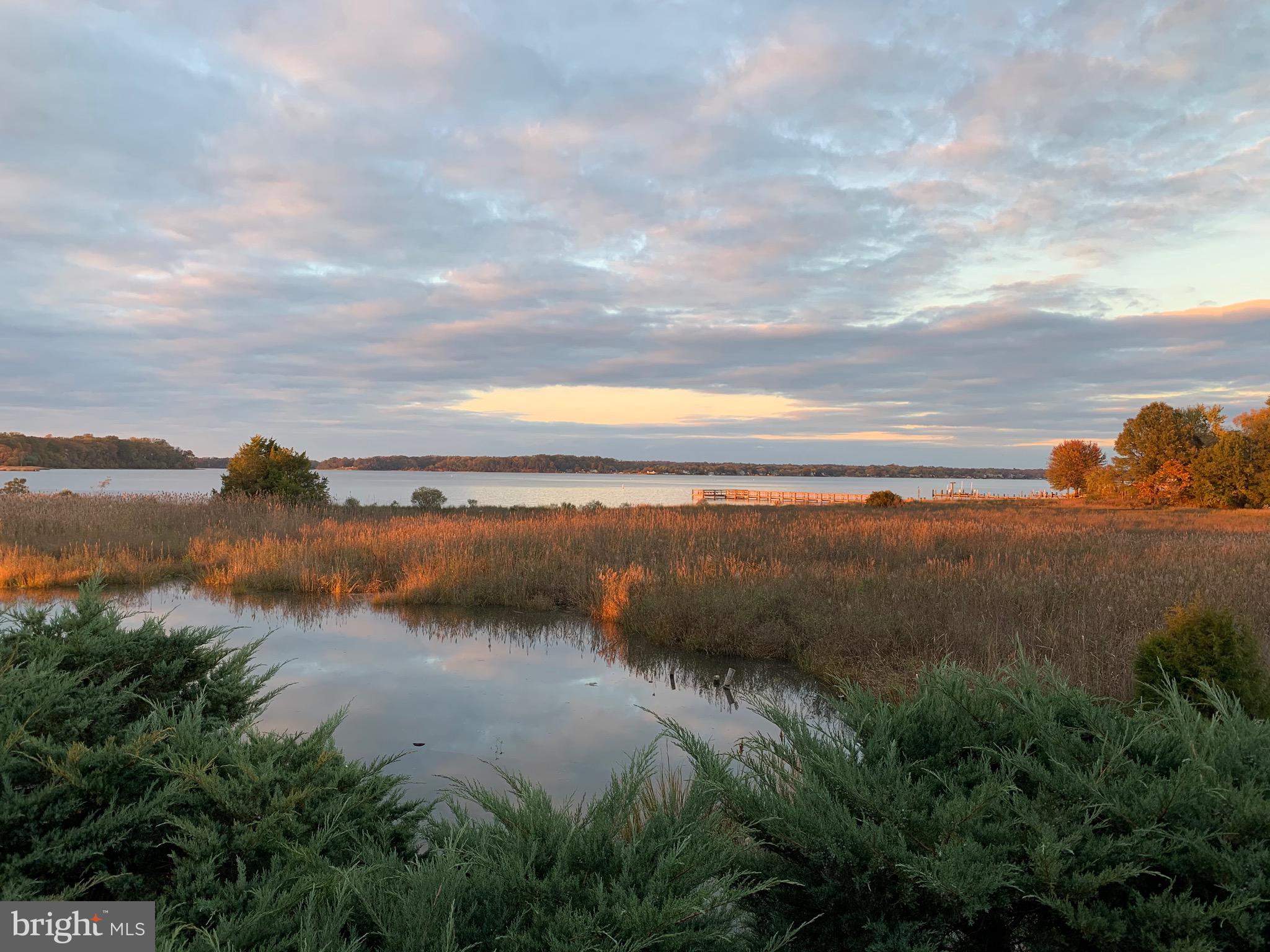 1100 Paca Drive Edgewater, MD 21037 - Photo 10 of 60 The splendor of wildlife is EVERYWHERE