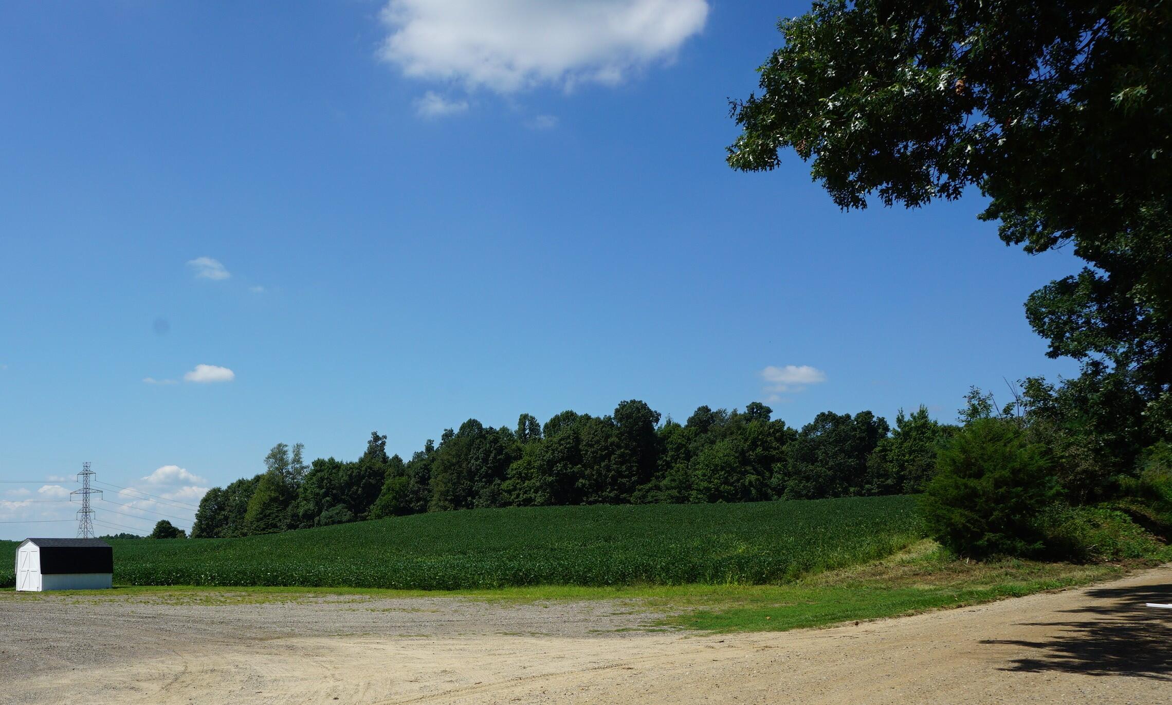 56955 Lucas Road Marcellus, MI 49067 - Photo 37 of 38 Soy beans to the NE