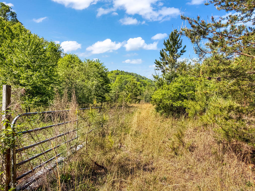 40-ac #1 40-ac Road Mineral Bluff, GA 30559 - Photo 24 of 35 Gallery Image 24