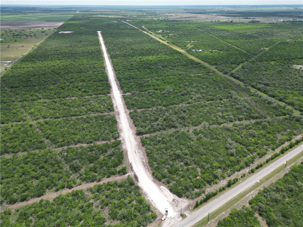 7360 Corrigan Ranch Drive- Tract 7 Skidmore, TX 78389 - Photo 2 of 3